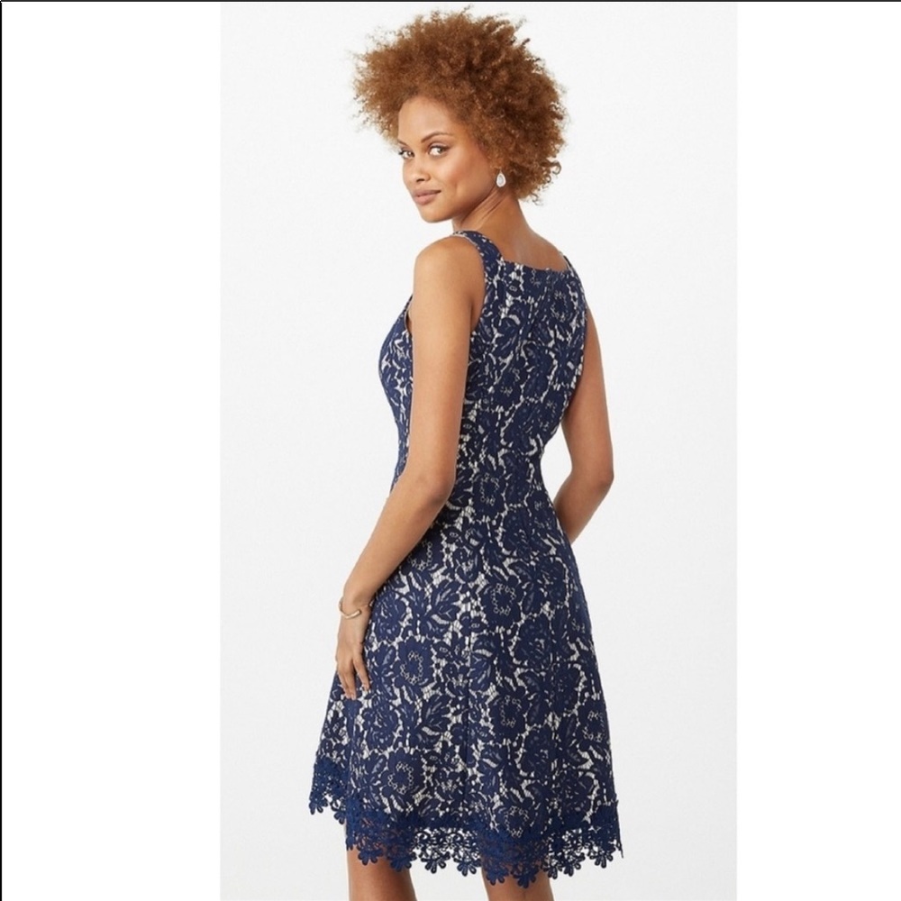 Roz & Ali Blue & Cream Lace Dress